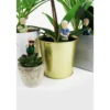 Attenborough Plant Pot Explorers