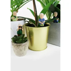 Attenborough Plant Pot Explorers