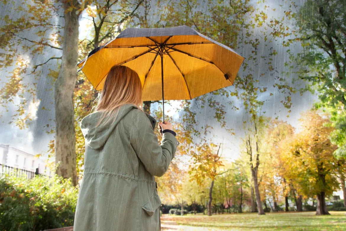 Black and Gold Umbrella