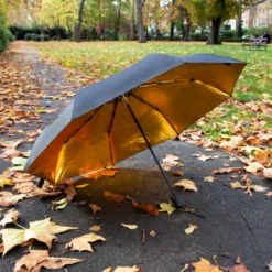 Black and Gold Umbrella
