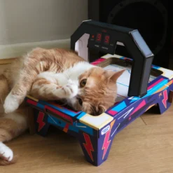 CAT AIR HOCKEY