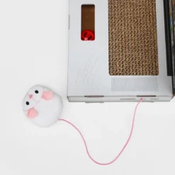 CAT SCRATCH LAPTOP