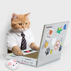 CAT SCRATCH LAPTOP