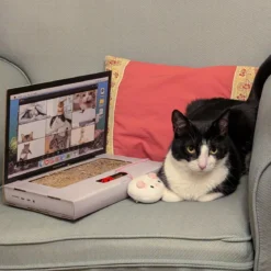 CAT SCRATCH LAPTOP