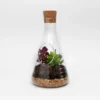 Chemistry Terrarium Kit
