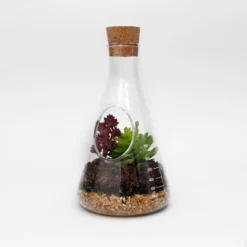 Chemistry Terrarium Kit