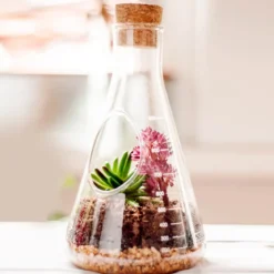 Chemistry Terrarium Kit
