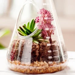 Chemistry Terrarium Kit
