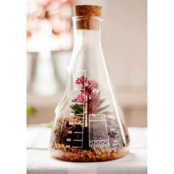 Chemistry Terrarium Kit