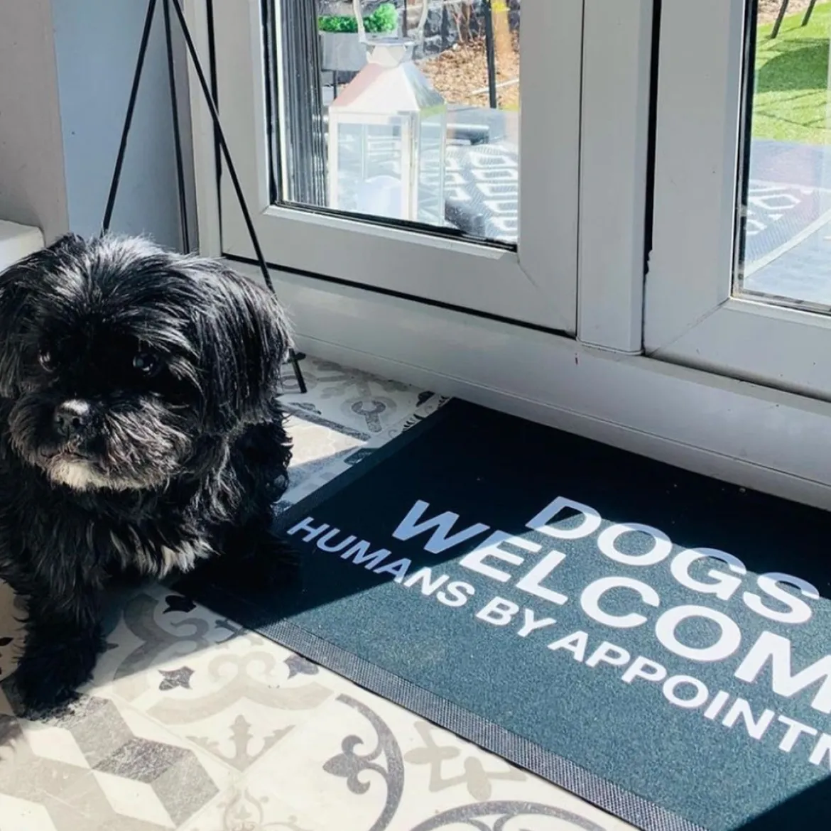 Dogs Welcome, Human By Appointment Door Mat