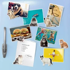 Fat Cat Magnets