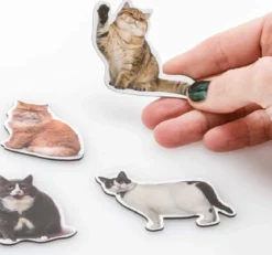 Fat Cat Magnets