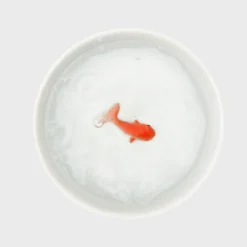 Goldfish Cat Bowl