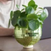 Green Disco Ball Planter