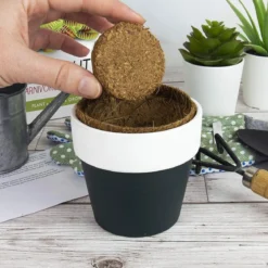 Killer Carnivorous Grow Kit