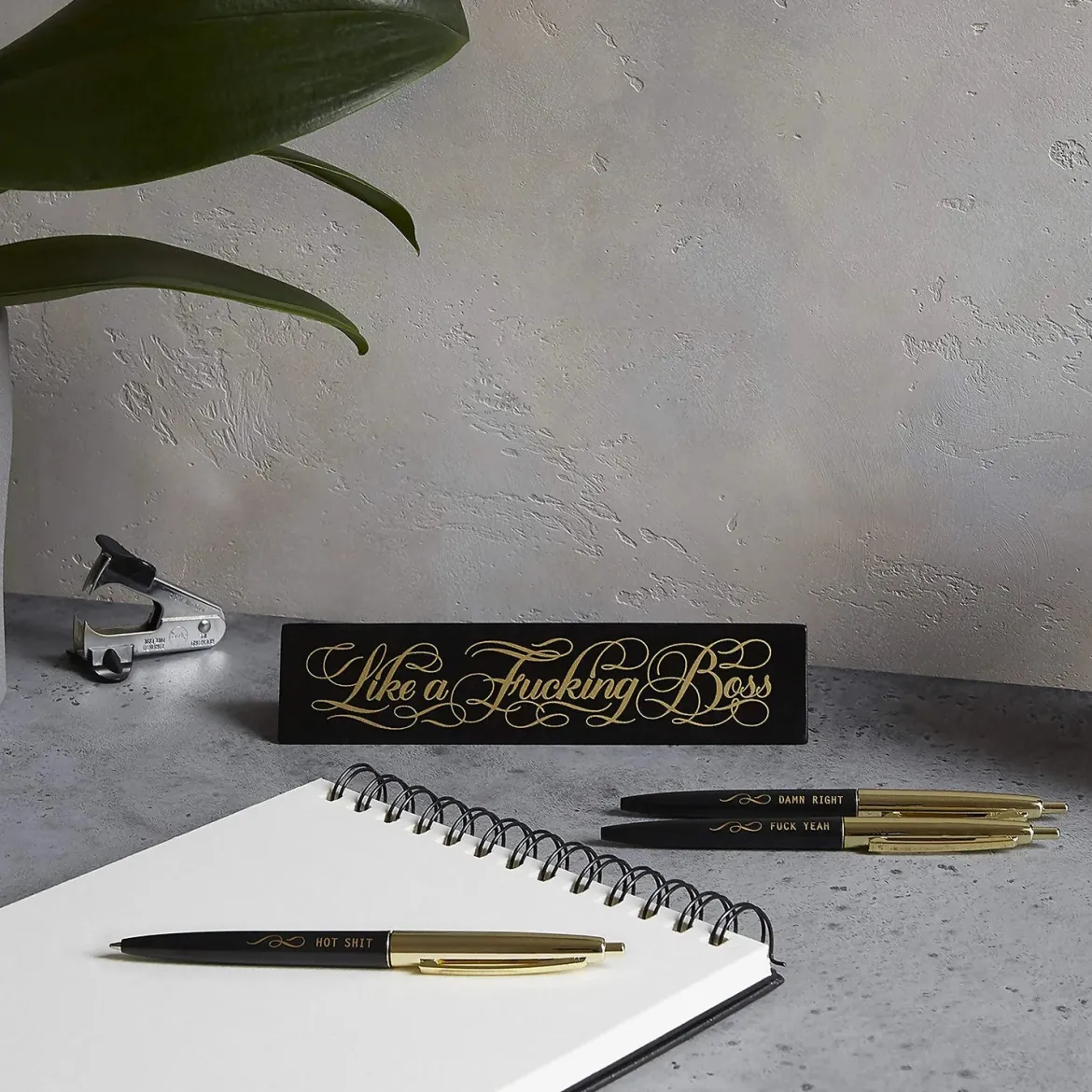 Like a F*cking Boss Desk Sign