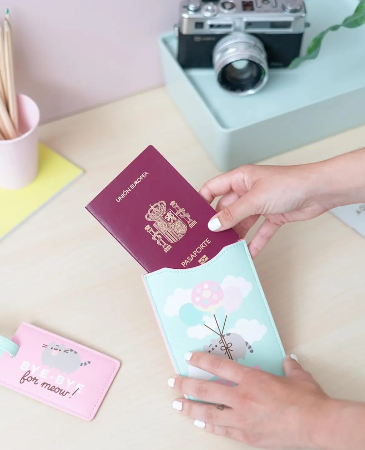 Pusheen Foodie Collection Passport Holder And Luggage Tag