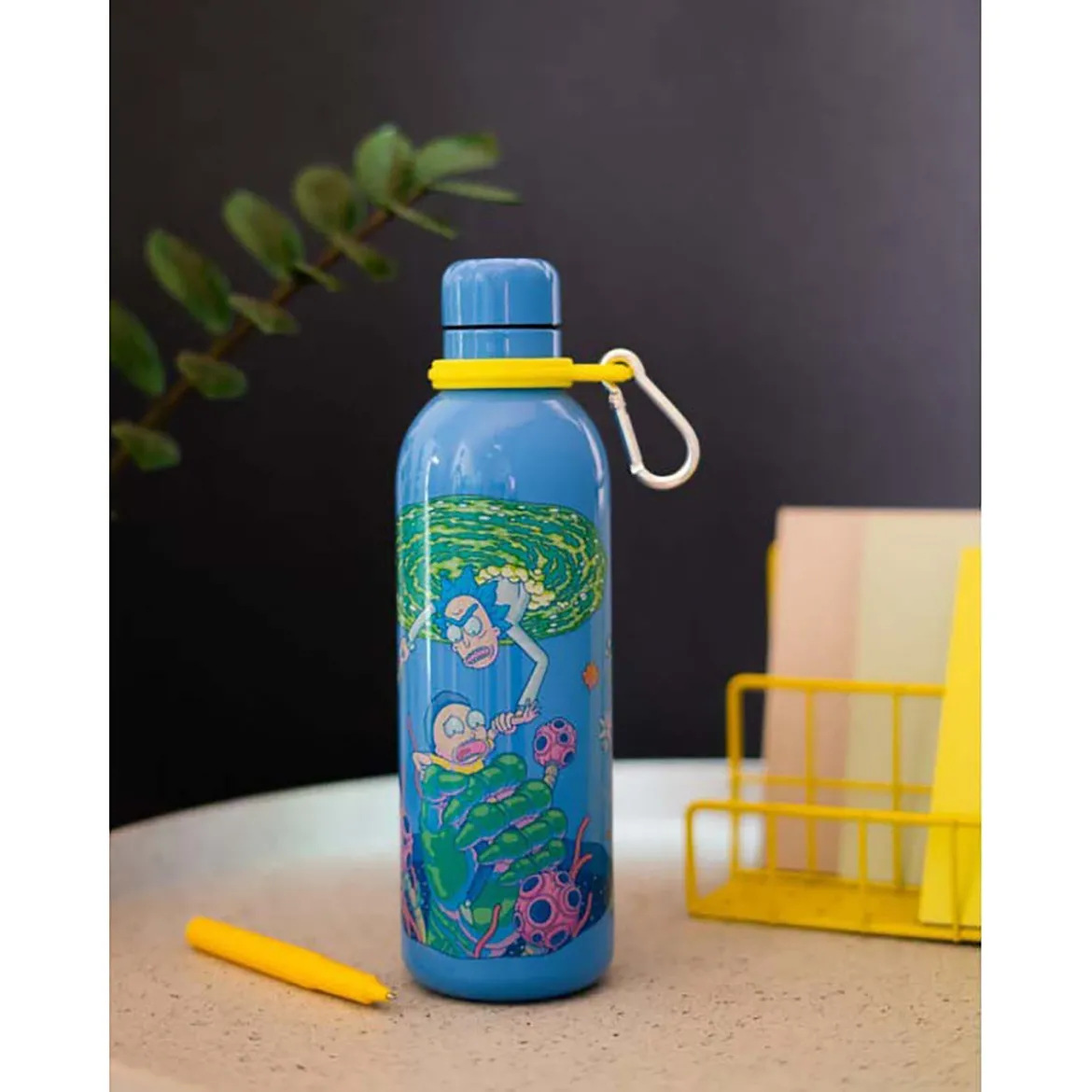 Rick Morty HotCold Metallic Bottle 500Ml