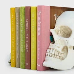 Skull Bookends