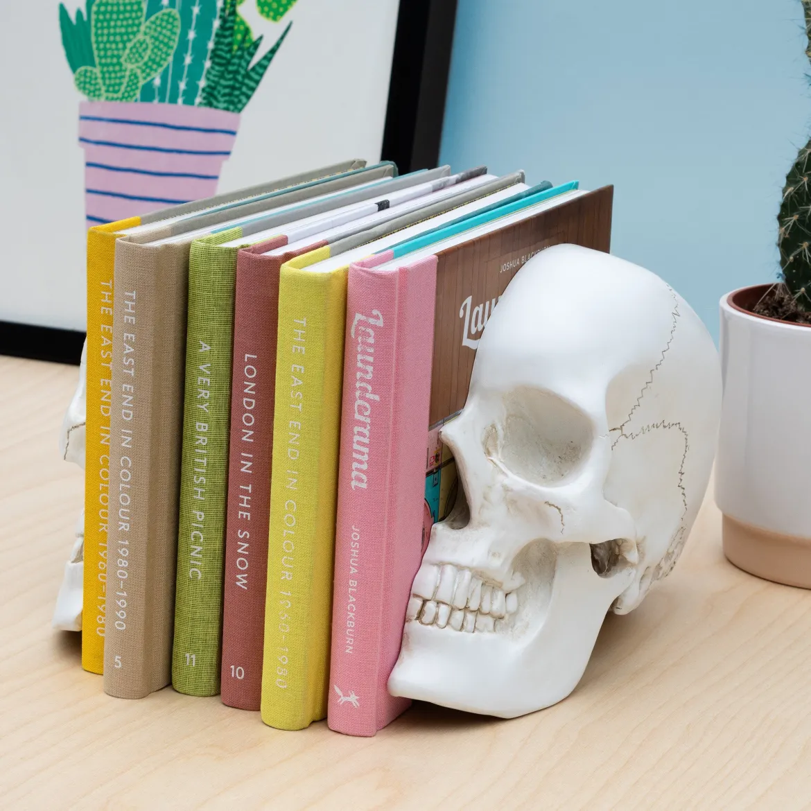 Skull Bookends