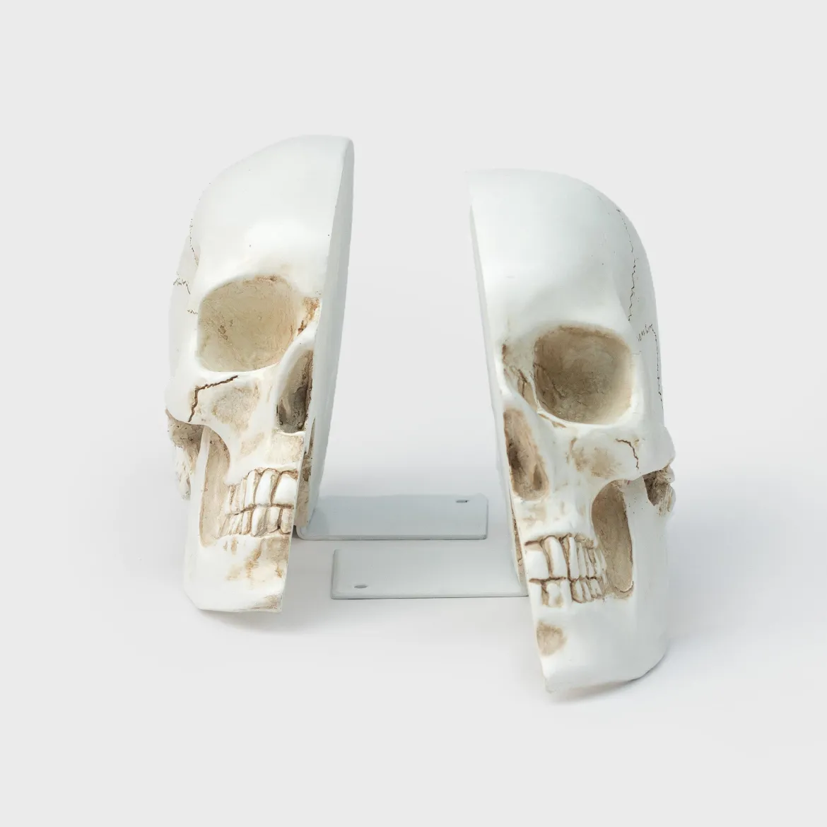 Skull Bookends