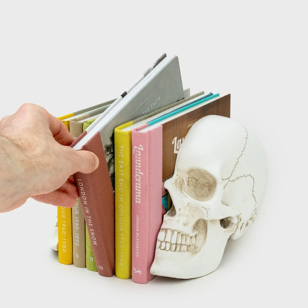 Skull Bookends