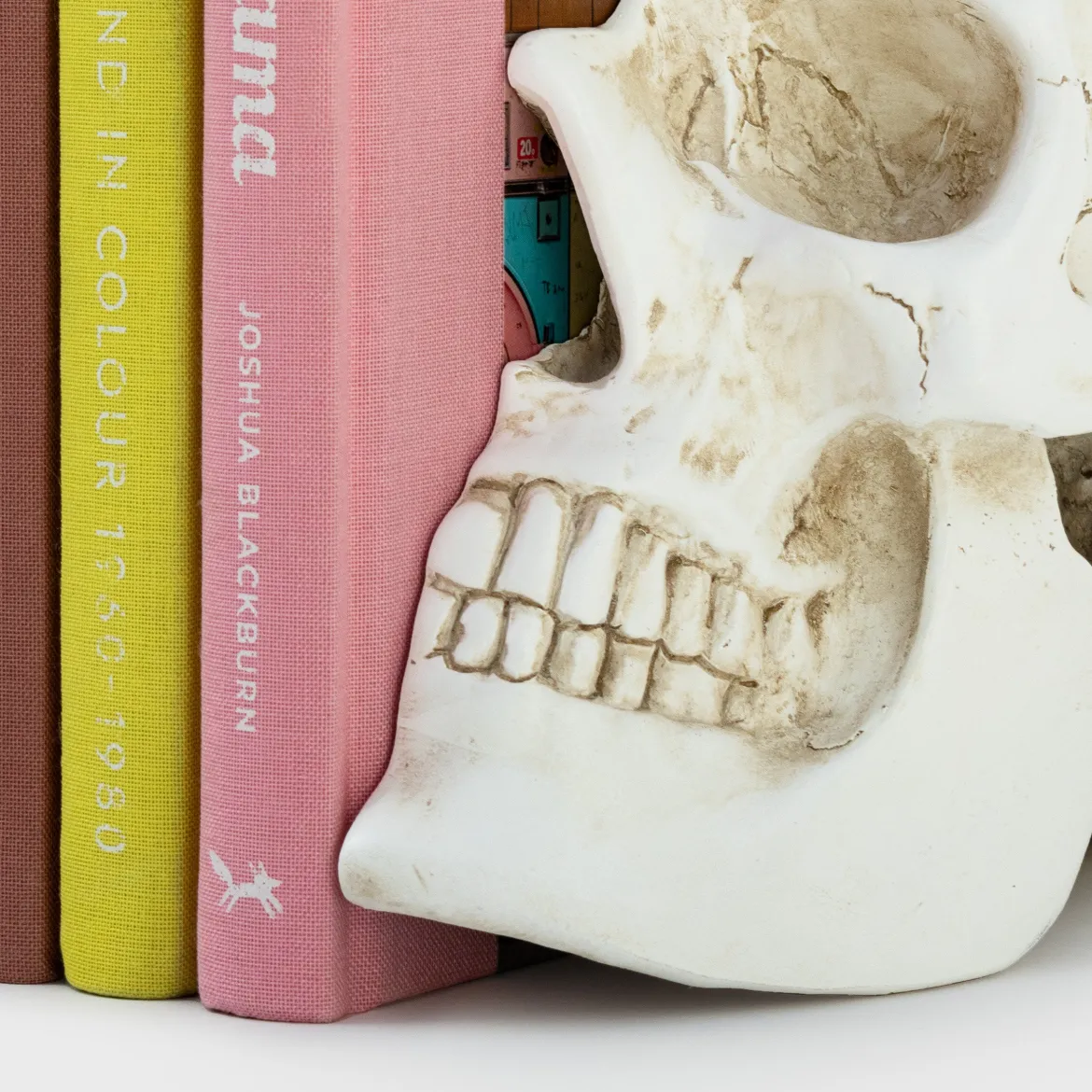 Skull Bookends