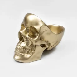 Skull Tidy