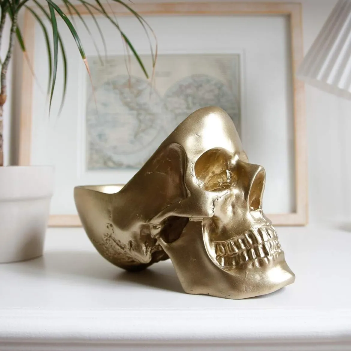 Skull Tidy